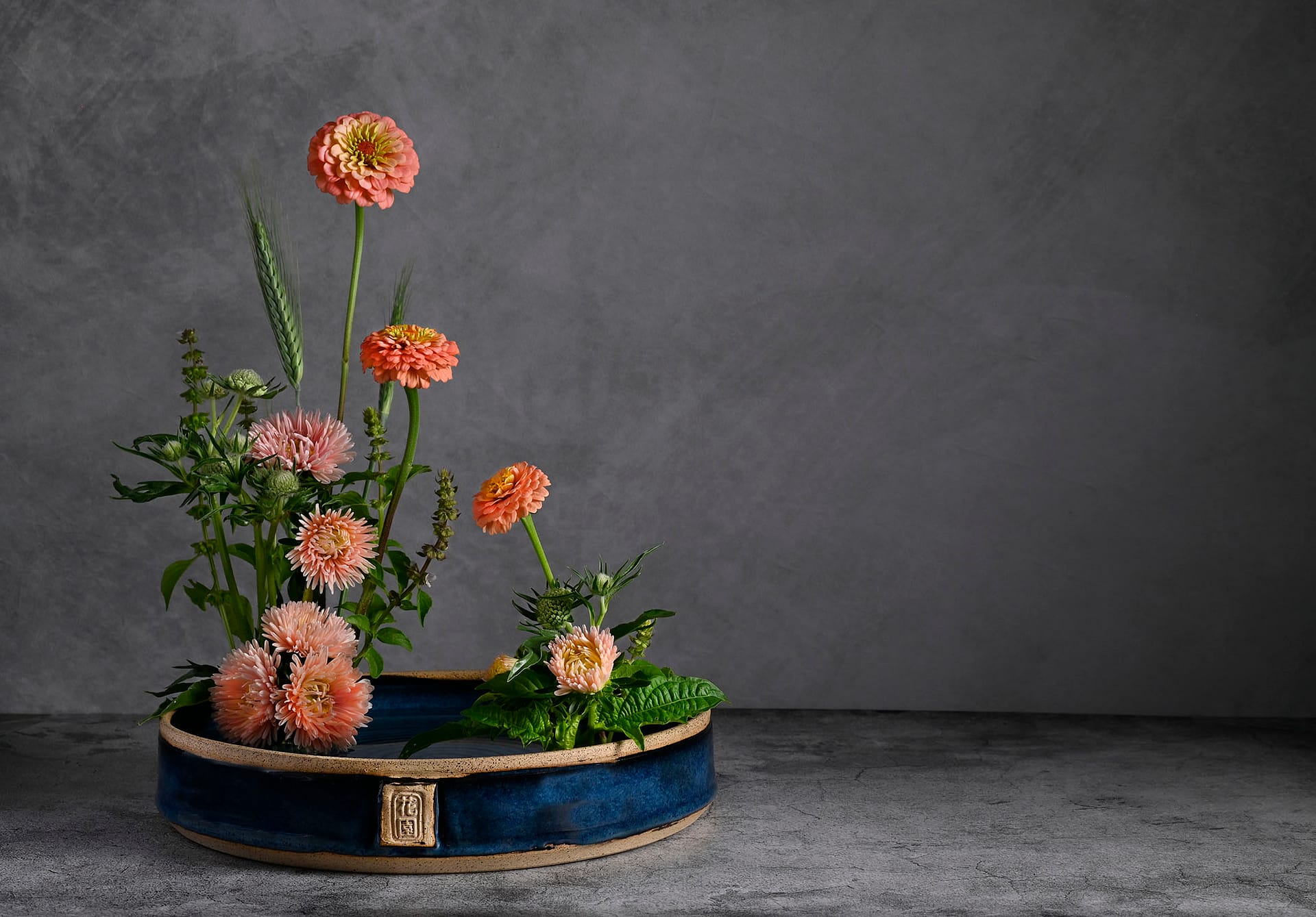 Zinnia Moibana