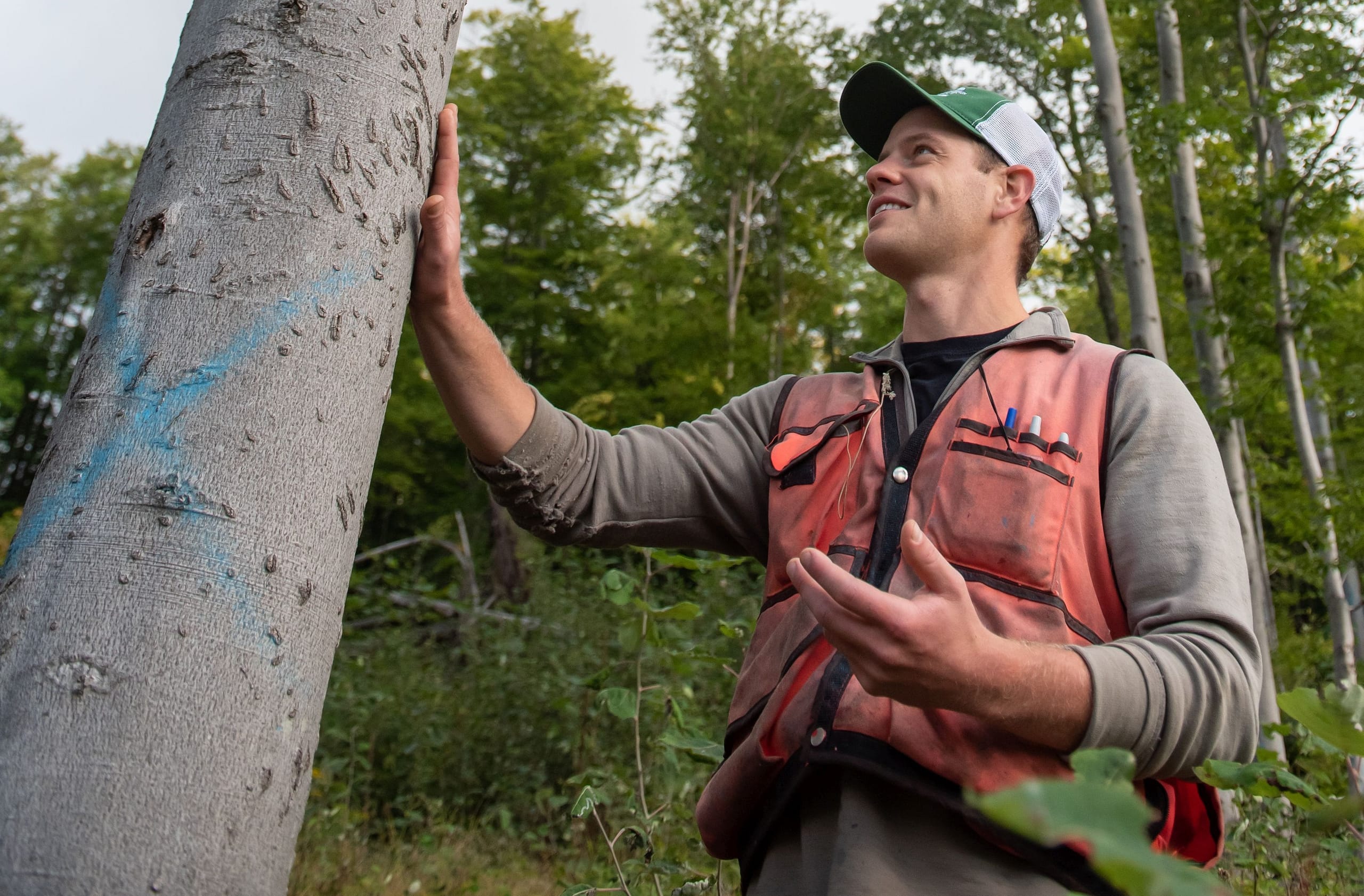 A man stands next to a tree, smiling and looking up
