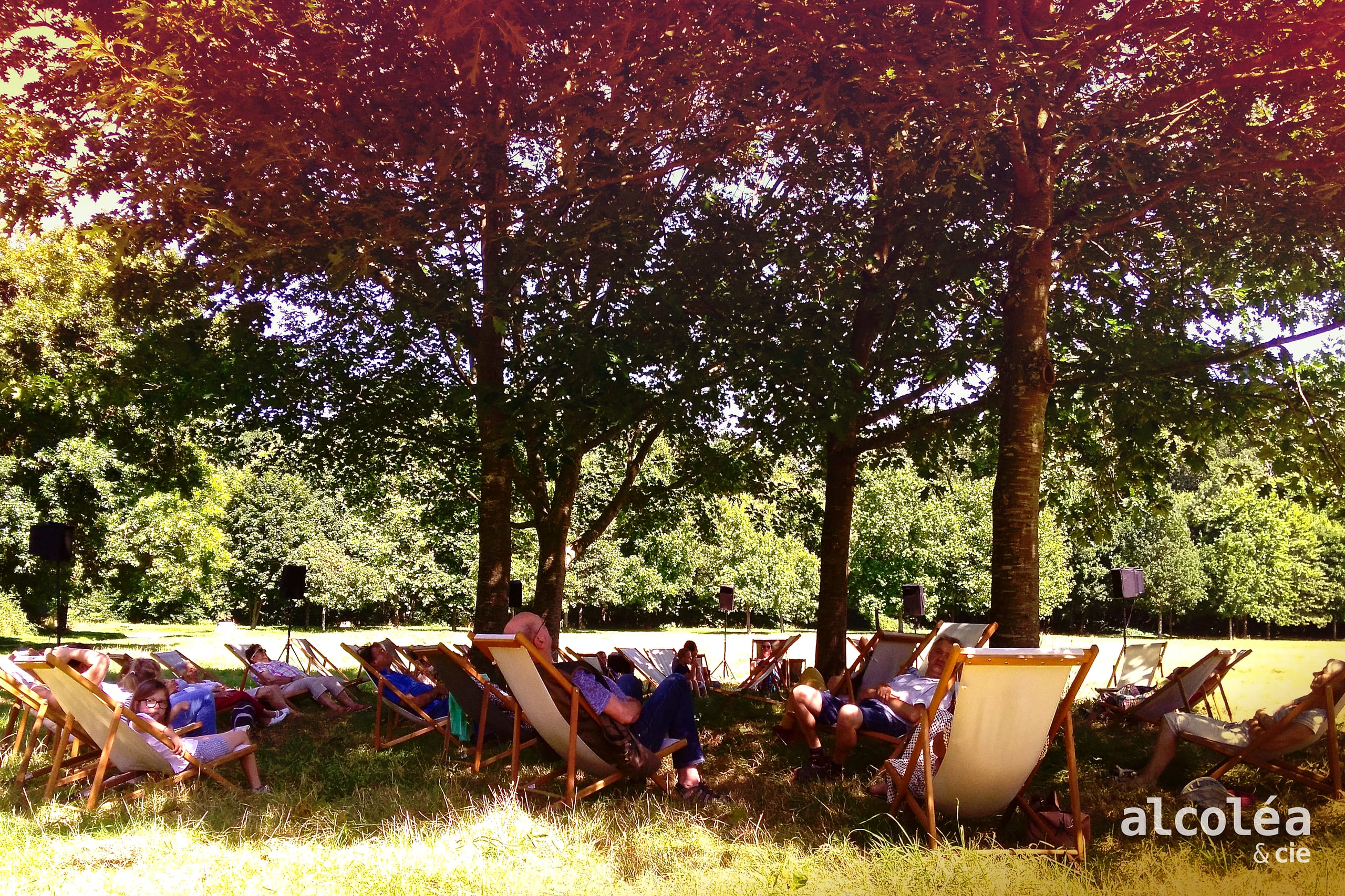 A group of people sit outside in lawn chairs listening during the day